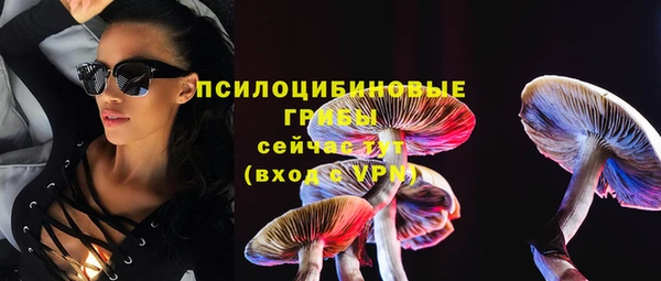 ПСИЛОЦИБИНОВЫЕ ГРИБЫ Алексин