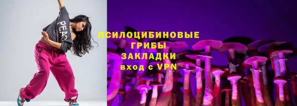 ПСИЛОЦИБИНОВЫЕ ГРИБЫ Алексин