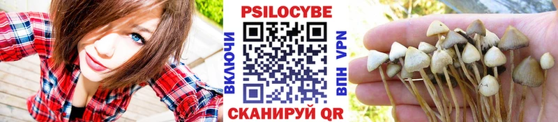 Галлюциногенные грибы мухоморы гидра зеркало Пошехонье