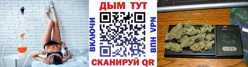 Каннабис конопля Пошехонье